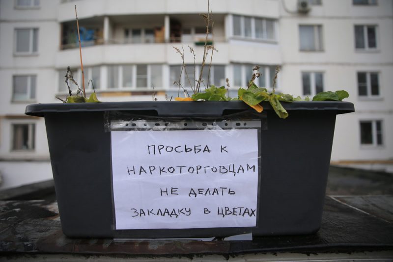 Сайты наркоты